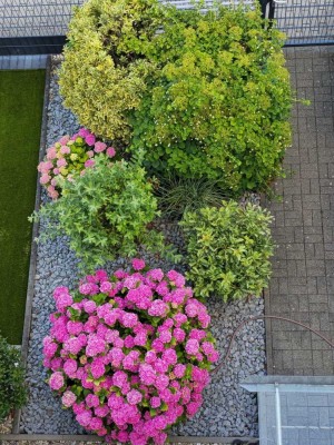 Urbanes Townhouse mit Dachterasse, Garten und Stellplatz in Berlin-Mahlsdorf