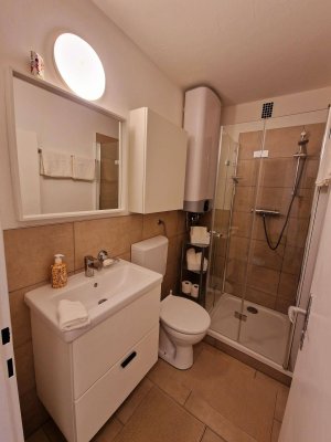 Top vermietetes Renditeobjekt in Bester Lage Salzburg-Stadt Aigen