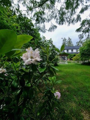 Charmantes Landhaus - Nähe Graz - ländliche Idylle **Ihr Traumhaus mit 1936m² Grund**