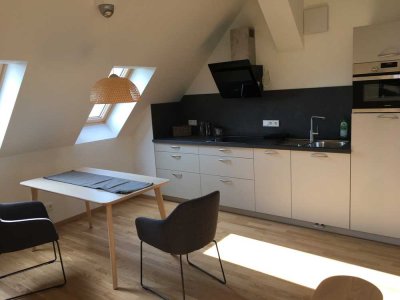 Lichtdurchflutetes  2 Zi Appartement mit Münsterblick am Safranberg