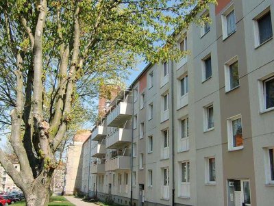 Kleine 3-Zimmer-Wohnung zwischen See und City