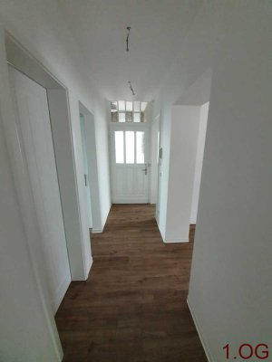 Kernsanierte Altbauwohnung mit hohen Decken in zentraler Lage