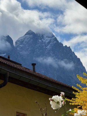 Zentrumsnahe, neu renovierte 3-Zimmer Wohnung mit Garten