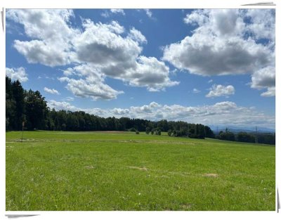 Anschauen, Einziehen & Sparen!  Einfamiliehaus mit WEITBLICK  in idyllischer Ortsrandlage