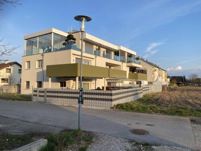 Family-Feeling trifft Wohnkomfort! Neuwertig, modern, familienfreundliche Gartenwohnung mit Pool zum Verlieben!