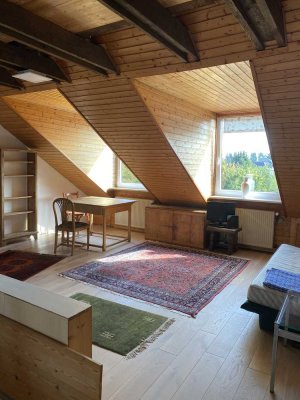 Schöne, geräumige teilmöblierte Ein Zimmer Wohnung