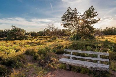 Wunderschön Leben an der Dresdner Heide - mit 2 Balkonen, Terrasse & Garten!