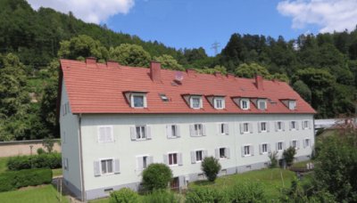 NEUE KÜCHE GEPLANT - 2-Zimmer-Wohnung in Bruck zu vermieten - Miete - 2 Zimmer