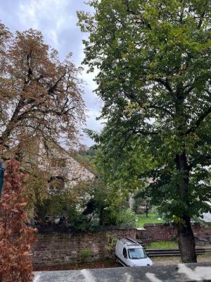 Ruhige 3 oder 4 Zimmerwohnung mit Traumblick