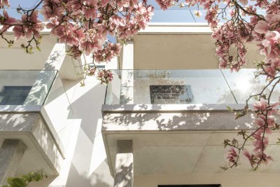 Penthouse in der Villa Schützenhütten – Architektur, Licht & Weitblick über Sachsenhausen