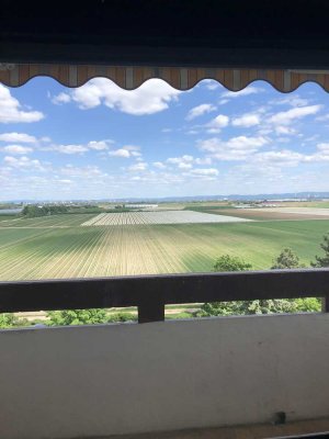 Lichtdurchflutete 2 Zimmer Wohnung mit Balkon in Mutterstadt