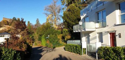 Schöne moderne, neuwertige 2-Zimmer-NR-Wohnung mit Terrasse und Einbauküche in Badenweiler