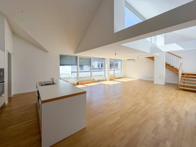 PALAIS HARDEGG: 3-Zimmer-DG-Wohnung mit 3 Terrassen zu mieten an der Freyung - wohnen in 1010 Wien