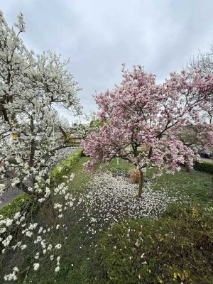 WEINHEIM-WEST, freistehendes 1-Familienhaus mit grossem Gartengrundstück und Garage