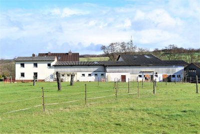 Reitschule/Pferdepension/Gnadenhof - hier ist alles denkbar!