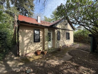 Charmantes Einfamilienhaus mit Garten und Kamin in ruhiger Lage von Hanau – ab sofort zu vermieten