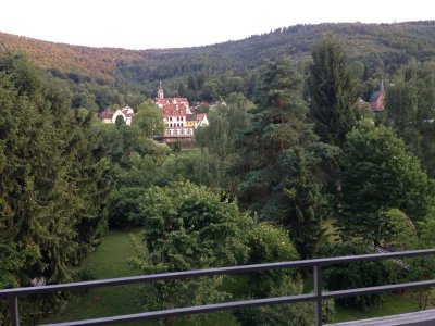 NECKARBLICK: Großzügige 3-Zi Wohnung, Balkon, Gartenanteil,  in Bestlage von  Ziegelhausen