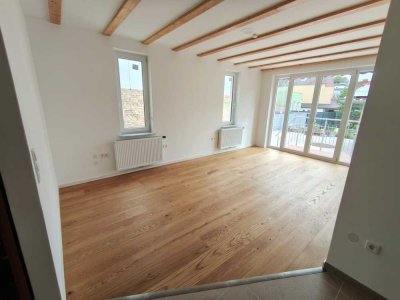 Erstbezug nach Sanierung -Helle 2,5-Zimmer Wohnung im EG in Ludwigshafen Oppau