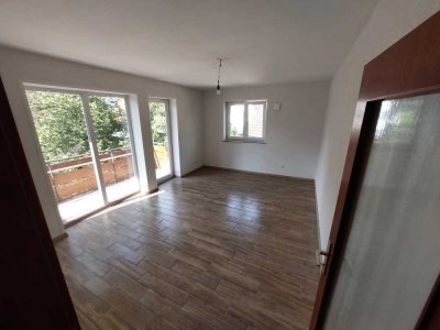 Schöne OG-Wohnung mit zwei Zimmern und Balkon in Baiersbronn