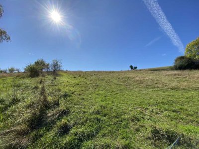Zwei hochwertige Einfamilien- Ferienhäuser in idyllischer Eifellage - ideal für Tierhaltung