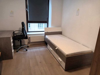 Möblierte und neu renovierte 1-Zimmer-Wohnung in Erlangen