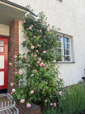 Haus in der Hufeisensiedlung