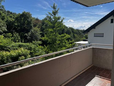 2022 renovierte 4,5-Raum-EG-Wohnung mit Einbauküche, Balkon und Garten in Mosbach