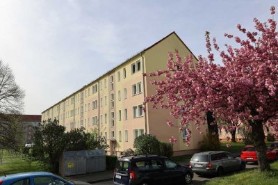 Attraktive 3-Zimmer-EG-Wohnung mit großem Balkon in Torgau