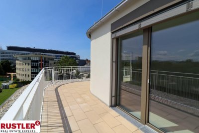 4-Zimmer-Dachterrassenwohnung mit einem unverbauten Blick auf die Traisen.
