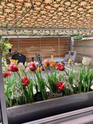 Der Frühling kann kommen!