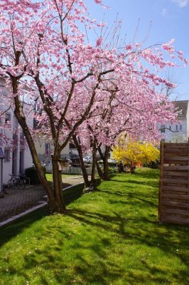3-Zimmer Erdgeschosswohnung mit Terrasse in Biberach an der Riß