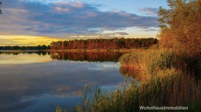 Zerpenschleuse - Wald, Wasser - pure Natur!