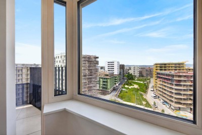 VILLAGE IM DRITTEN – VIEW HOMES - Bezugsfertig