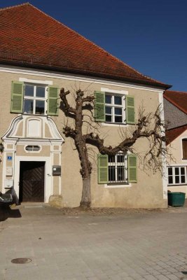 Herrschaftliche 5 ZKB im Baumeisterhaus Schloss Sandersdorf