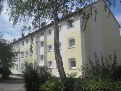 Perfekt! Hier zieh' ich ein! Renovierte 4-Zimmer-Wohnung in Stadtrandlage!