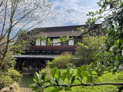 Charmantes Zweifamilienhaus mit Balkon, Terrasse und großem Garten in Biedenkopf