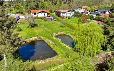 Großzügig und komfortabel - Natur-Randlage mit eigenem Fischteich