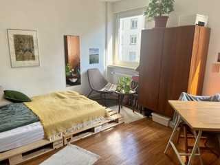 Gemütliches 1-Zimmer Appartement in der Mainzer Neustadt (Vermietung erfolgt unmöbliert)