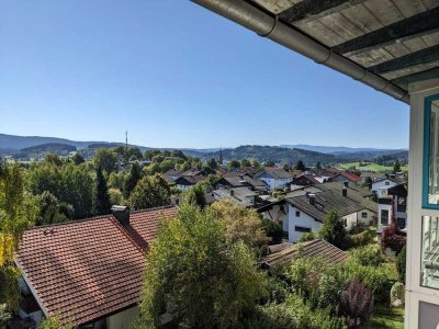 Über den Dächern von Zwiesel