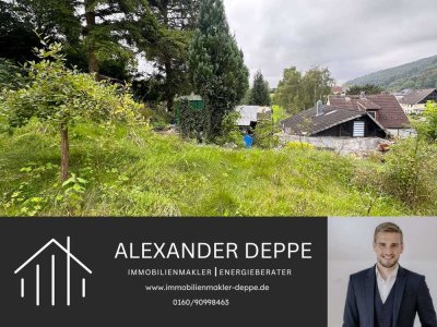 Sanierungsbedürtiges Einfamilienhaus auf großzügigem Grundstück in Thal