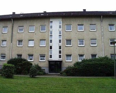 Neu renovierte 3-Zimmer-Wohnung