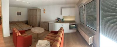 Modernisierte 1-Zimmer Appartement möbliert mit Balkon und EBK in Altensteig Wart