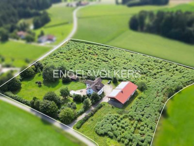 Dreifamilienhaus auf großem Grundstück mit landwirtschaftlicher Nutzfläche