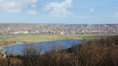 Ausblick auf die Weinberge, die Elbe & den Stausee - einmaliges Traumangebot!