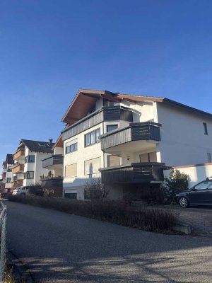Renovierte 3-Zimmer Wohnung Pforzheim/Arlinger