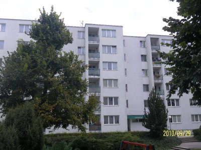 1-Zimmer-Wohnung, Top 89