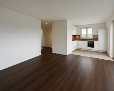 Neubau Penthouse-Wohnung mit Dachterrasse-Erstbezug