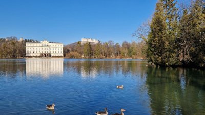 Einzigartige Lage direkt am Leopoldskroner Weiher: Terrasse, Wintergarten, Parkplatz
