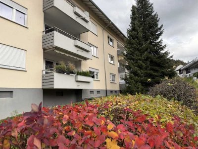 Neu renovierte, gepflegte  2-Zimmer-Wohnung mit neuer EBK in Seelbach