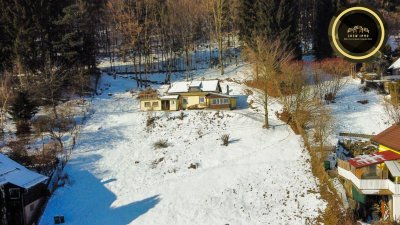 Ihr neues Zuhause mit 2029 m² großes Grundstück und Panoramablick – Renovierungsobjekt in Mürzzuschlag